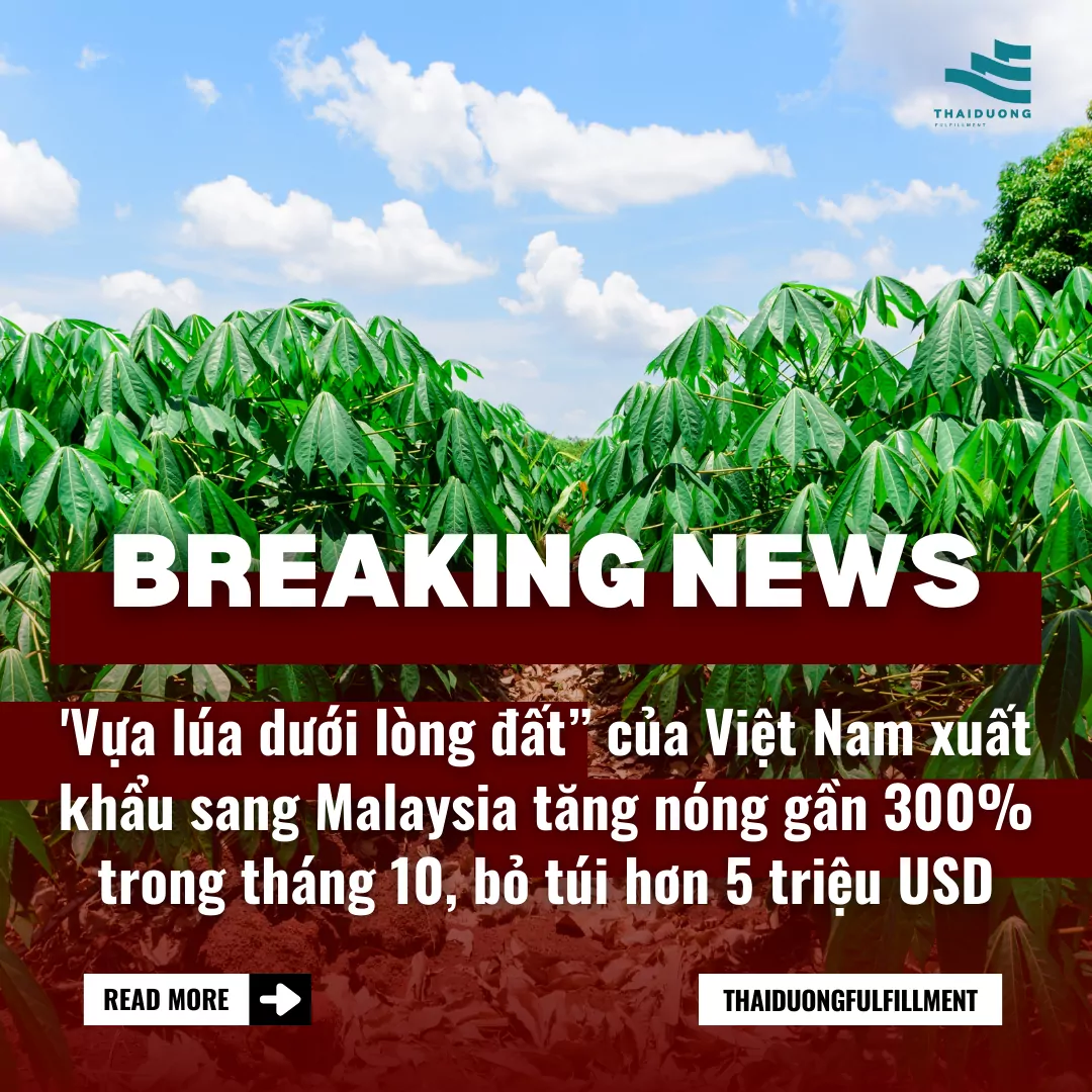 'Vựa lúa dưới lòng đất” của Việt Nam xuất khẩu sang Malaysia tăng nóng gần 300% trong tháng 10, bỏ túi hơn 5 triệu USD